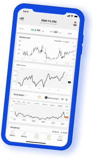 Ripeton Capital digital web application on mobile device